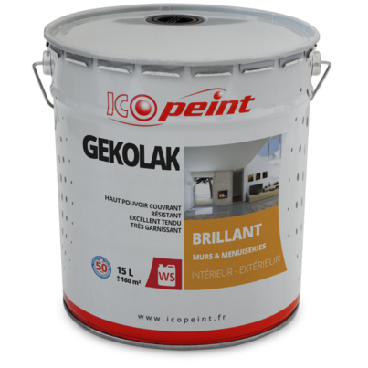 ICOPEINT-GEKOLAK-15L