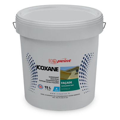 Icopeint-Icoxane